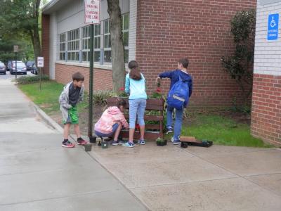 photo of students planting plants